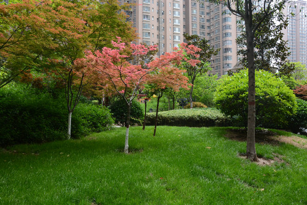 DSC_1956.JPG